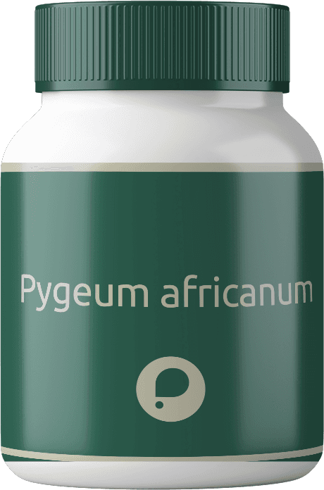 Imagem do Pygeum africanum (100mg)