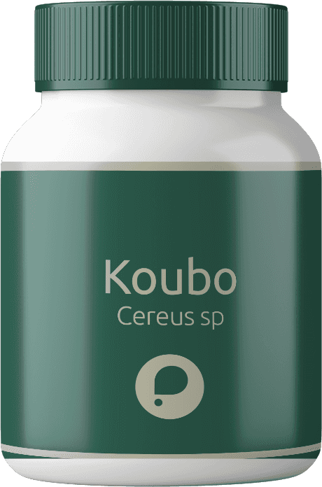 Thumbail produto Koubo (200mg)