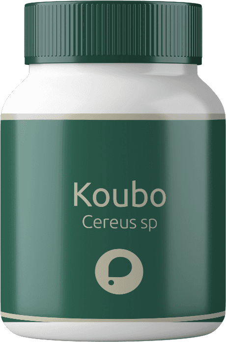 Koubo (200mg)