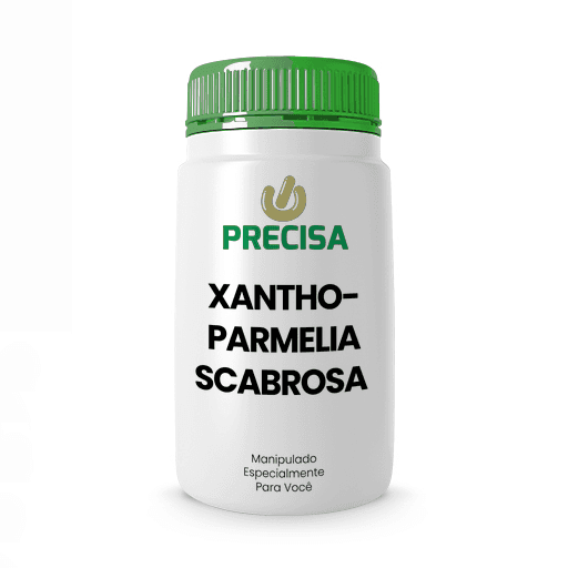 Xanthoparmelia Scabrosa