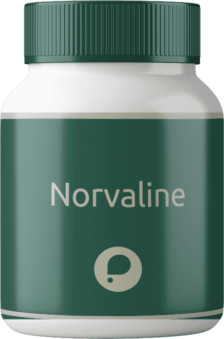 Thumbail produto Norvaline (400mg)
