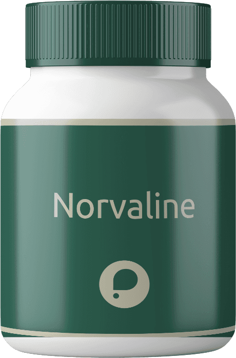 Imagem do Norvaline (400mg)