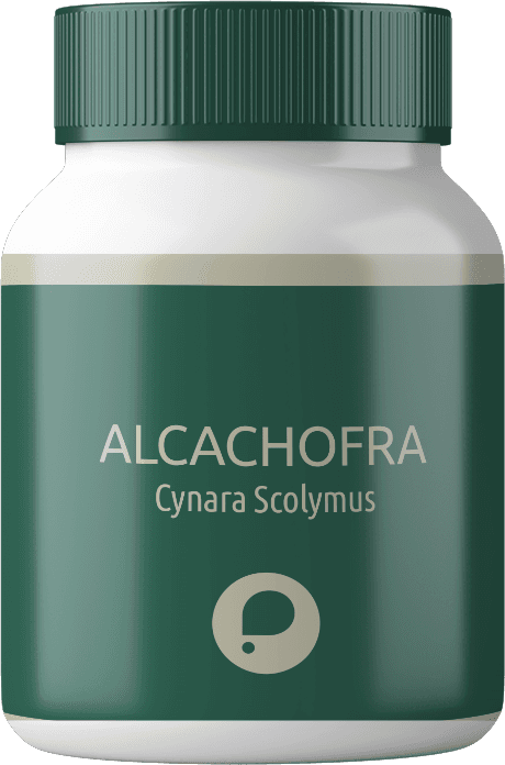 Alcachofra (250mg)